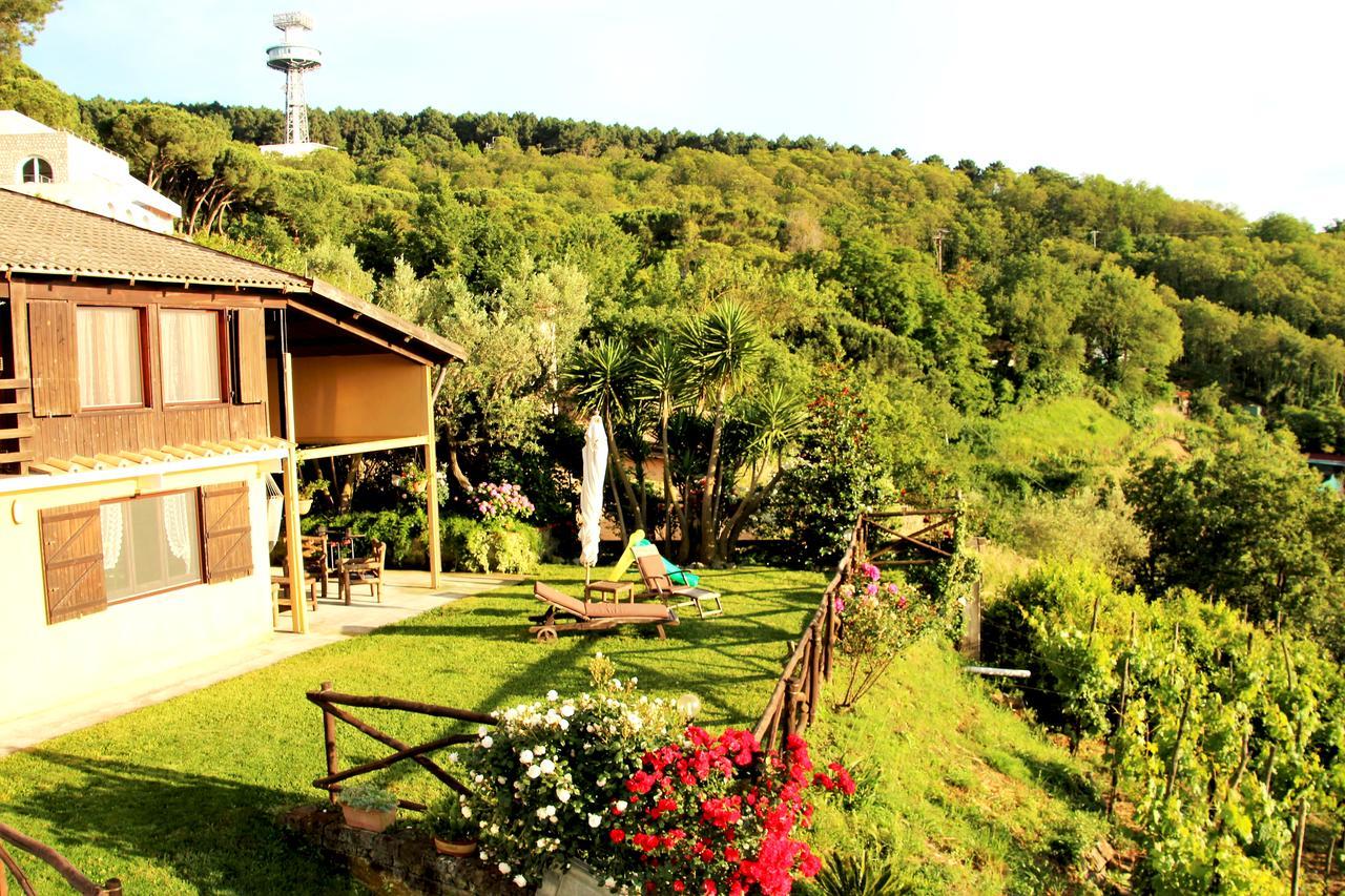 Chalet Annie Holiday home